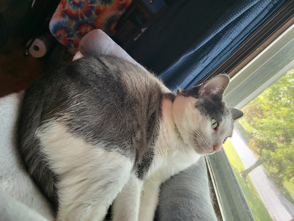 GIF uploaded by Mary