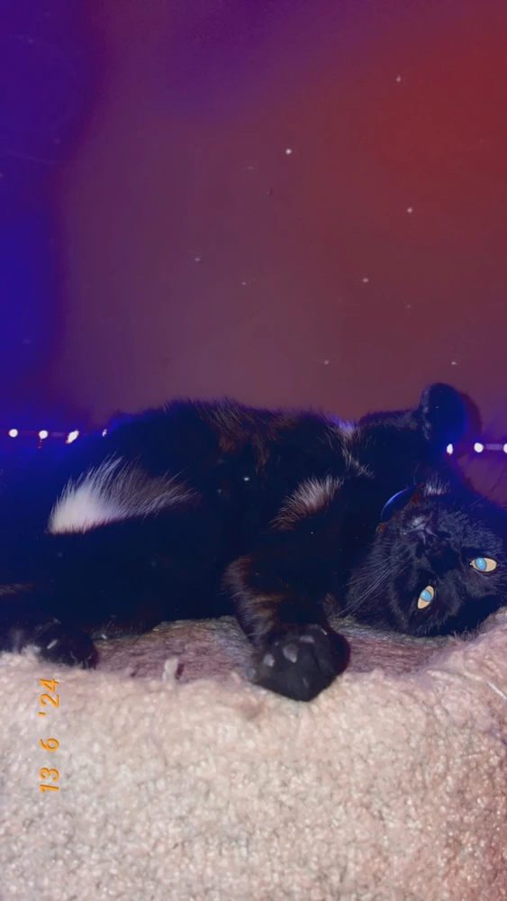 GIF uploaded by Tano