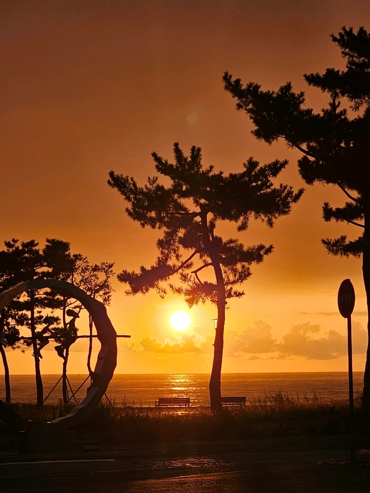 GIF được Chung tải lên