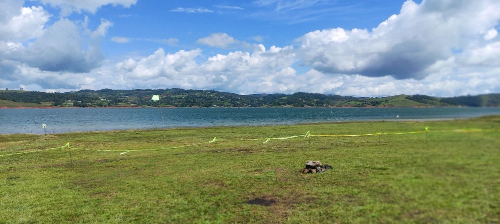 Imagen subida por Josvid Bony