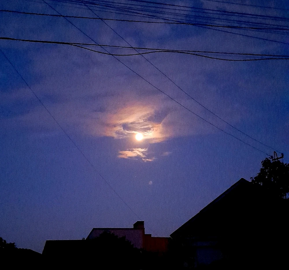 Гіфку завантажив Natalia🦇