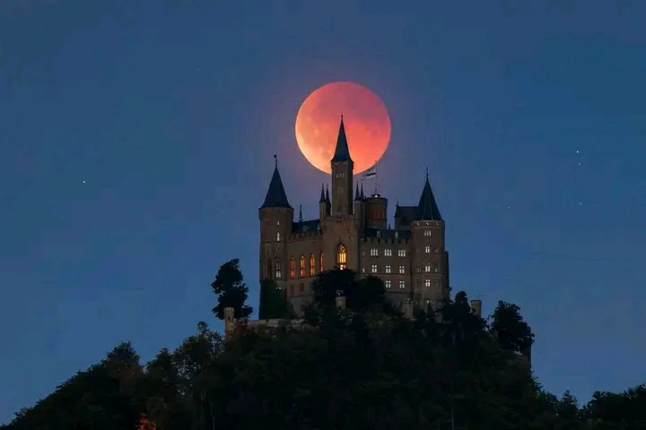 GIF hochgeladen von Marron