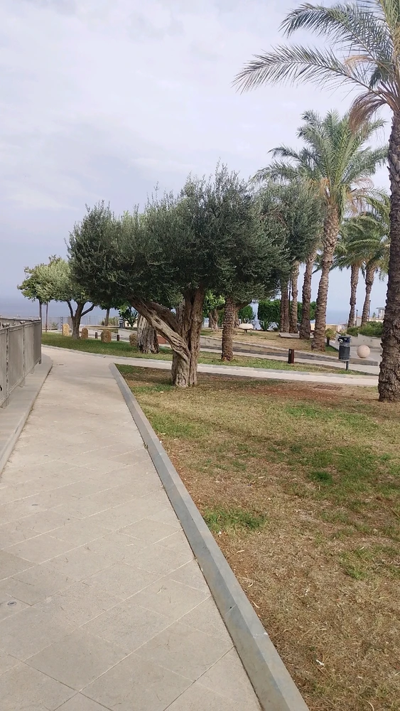 Image uploaded by IonComan