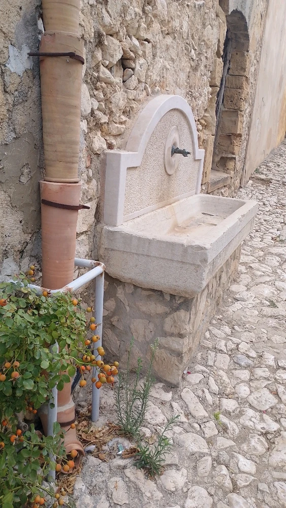Image uploaded by IonComan