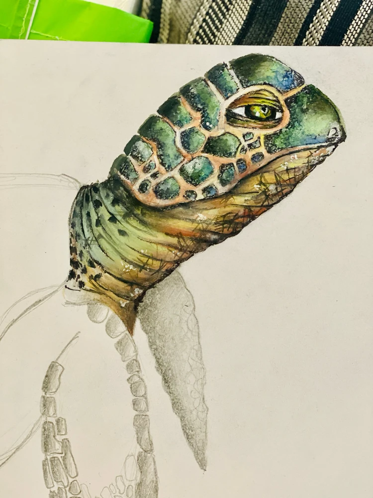 Image uploaded by Selina