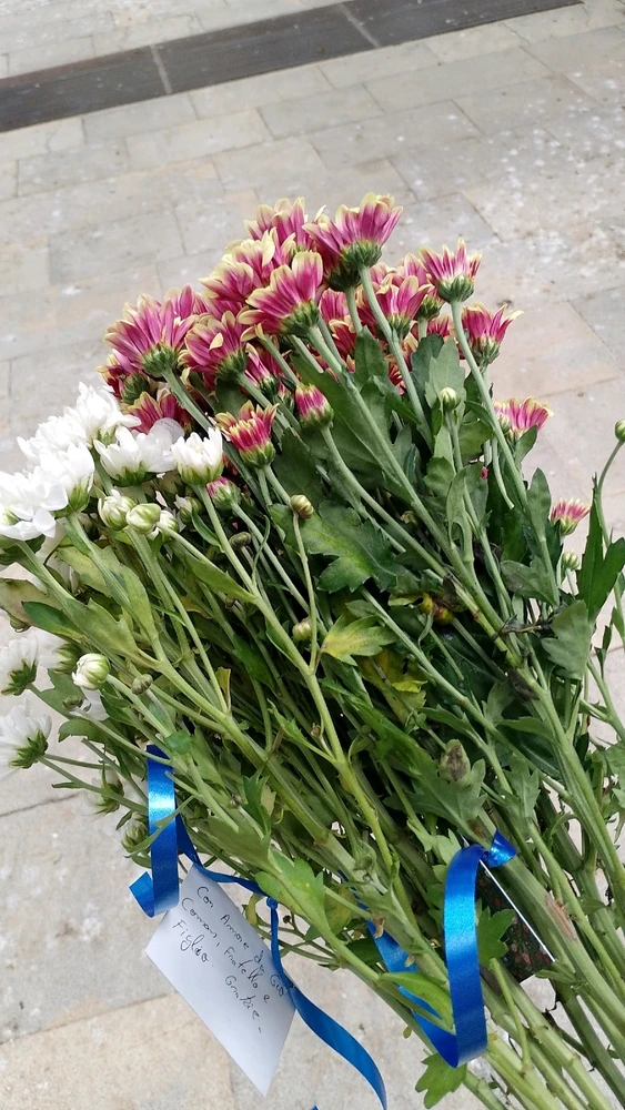 Imagine încărcată de IonComan
