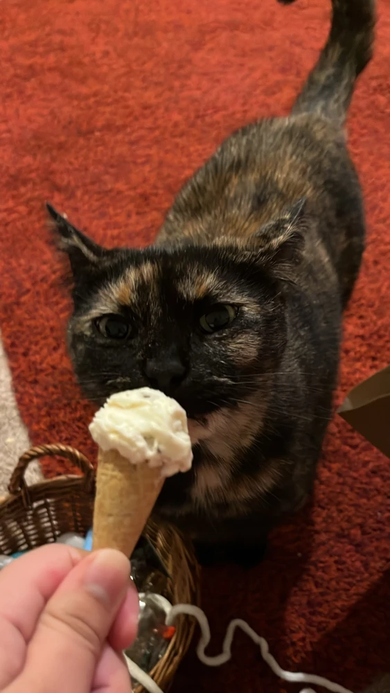 GIF uploaded by Jamie