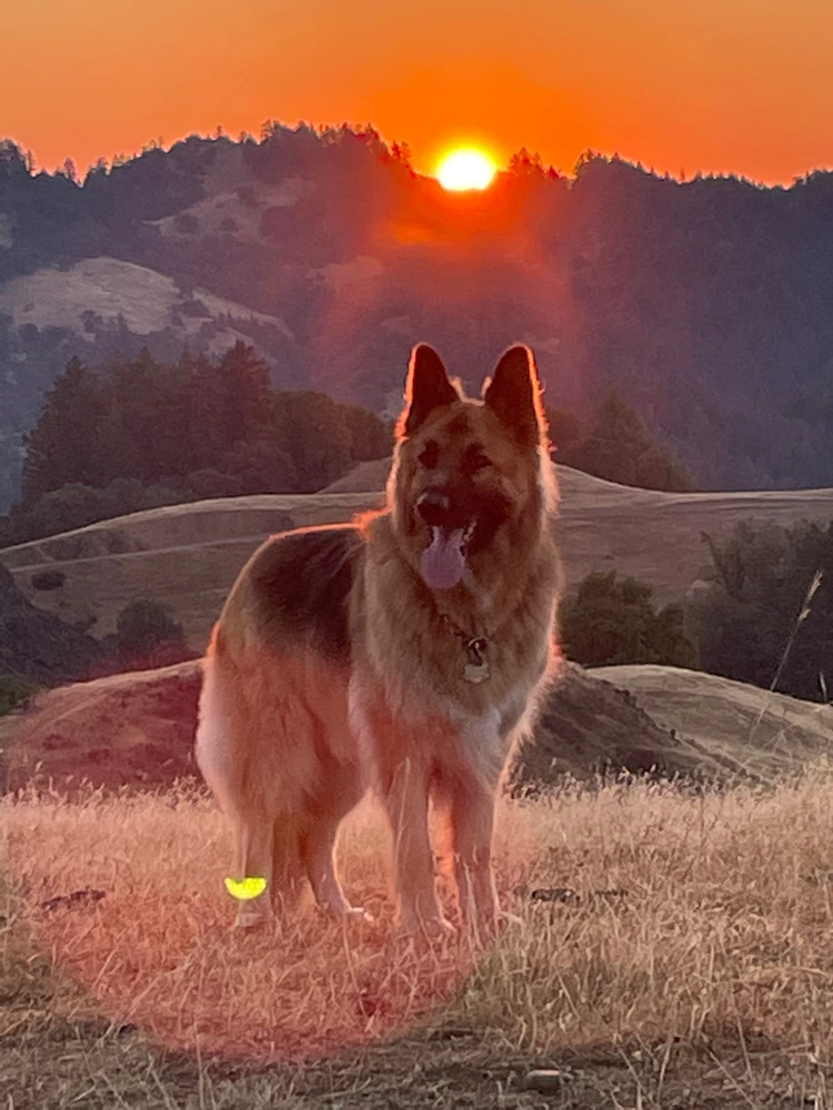 Image uploaded by Robbie