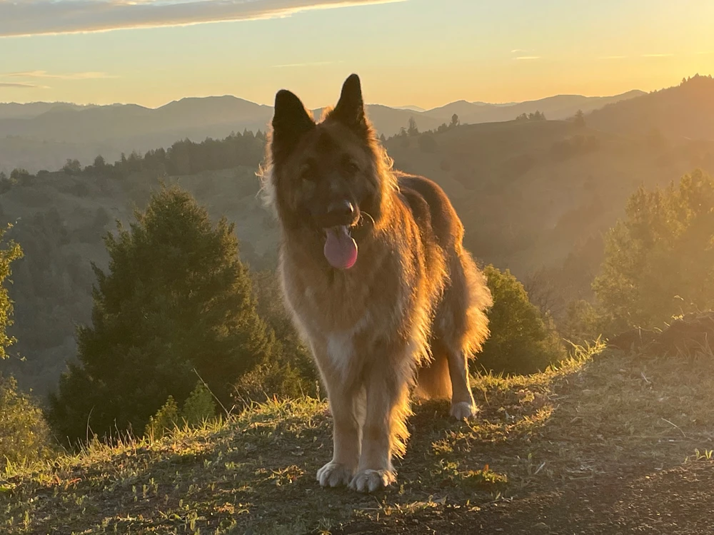 Image uploaded by Robbie