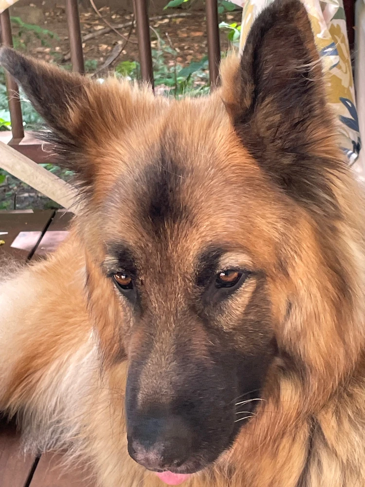 Image uploaded by Robbie