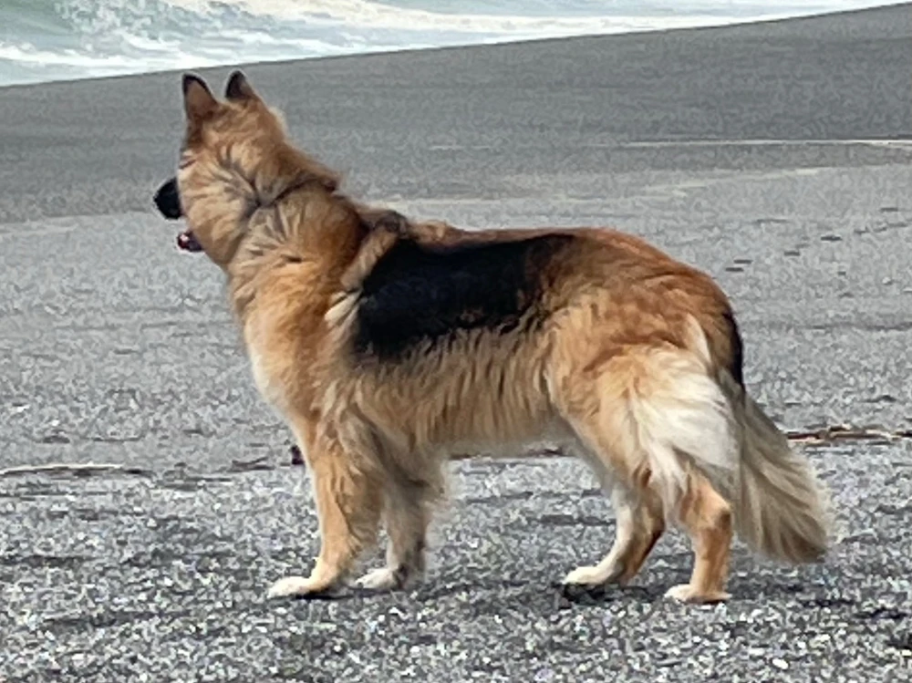 Image uploaded by Robbie