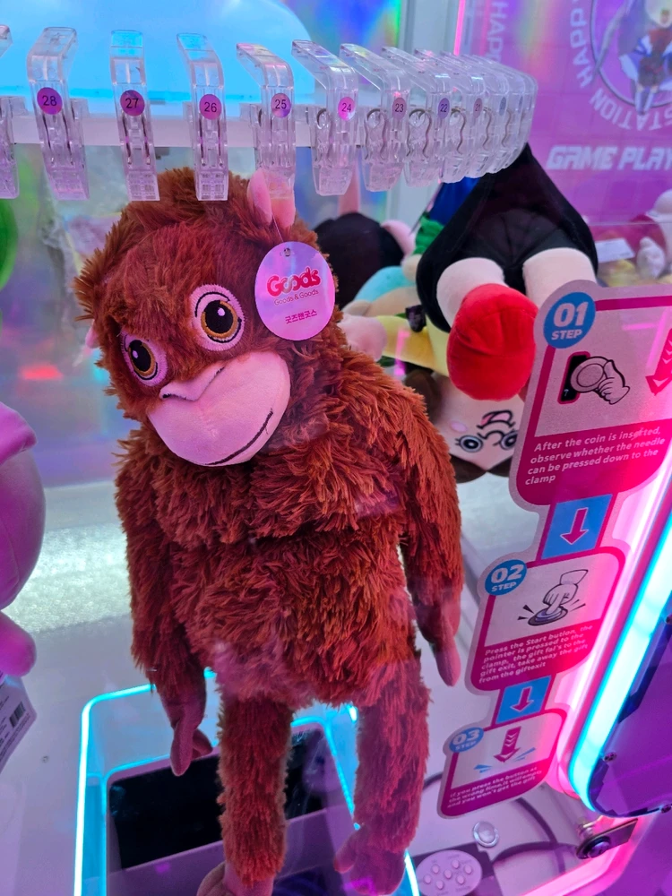 꼬마어른이님이 올린 사진