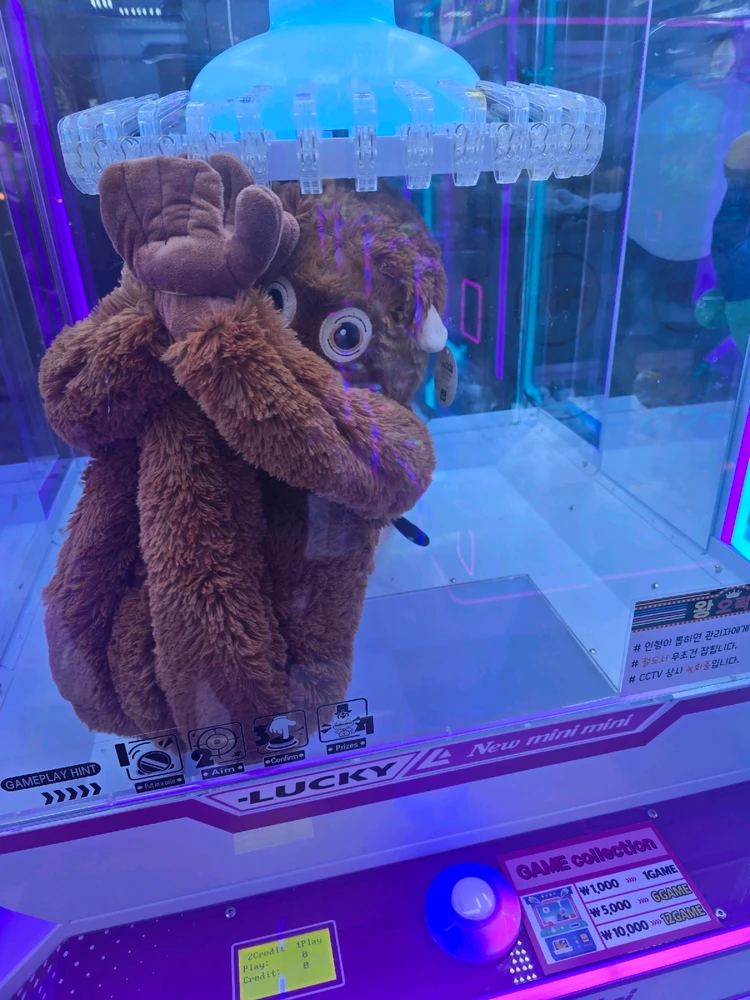 꼬마어른이님이 올린 사진