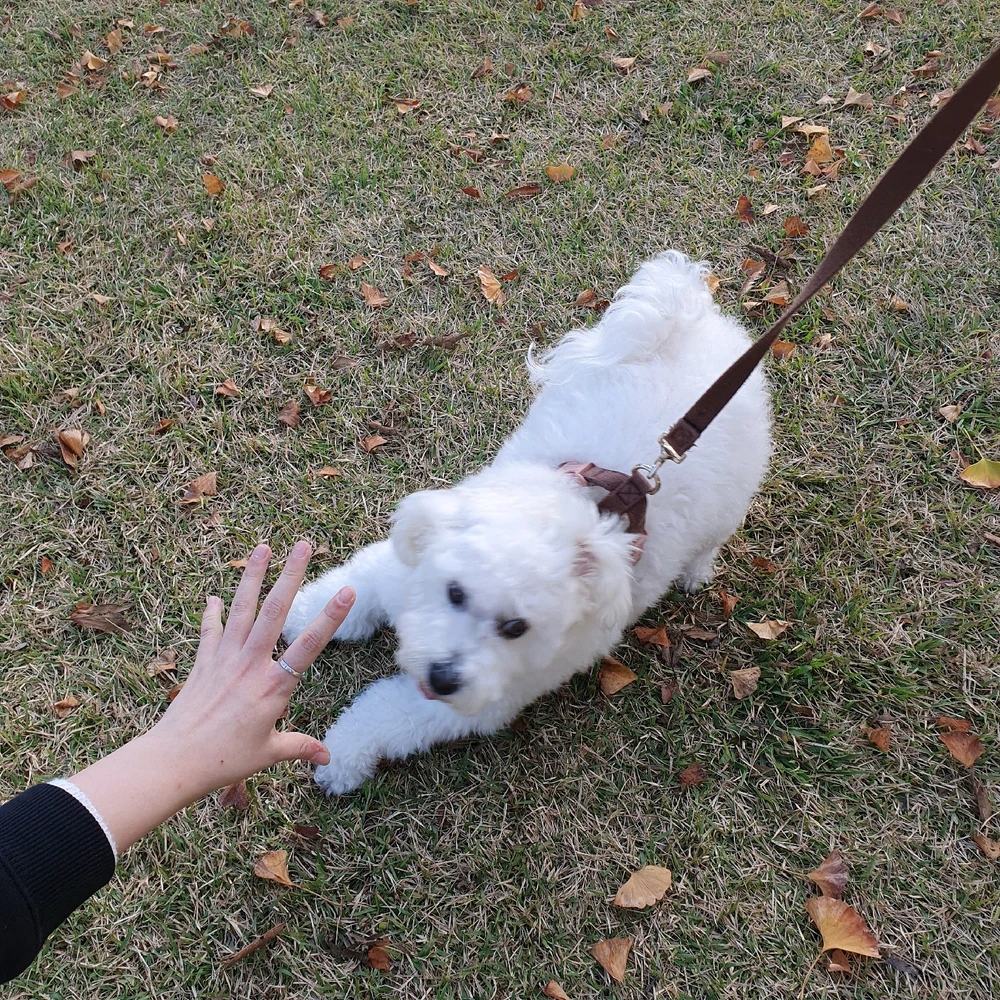 由지지上传的图片