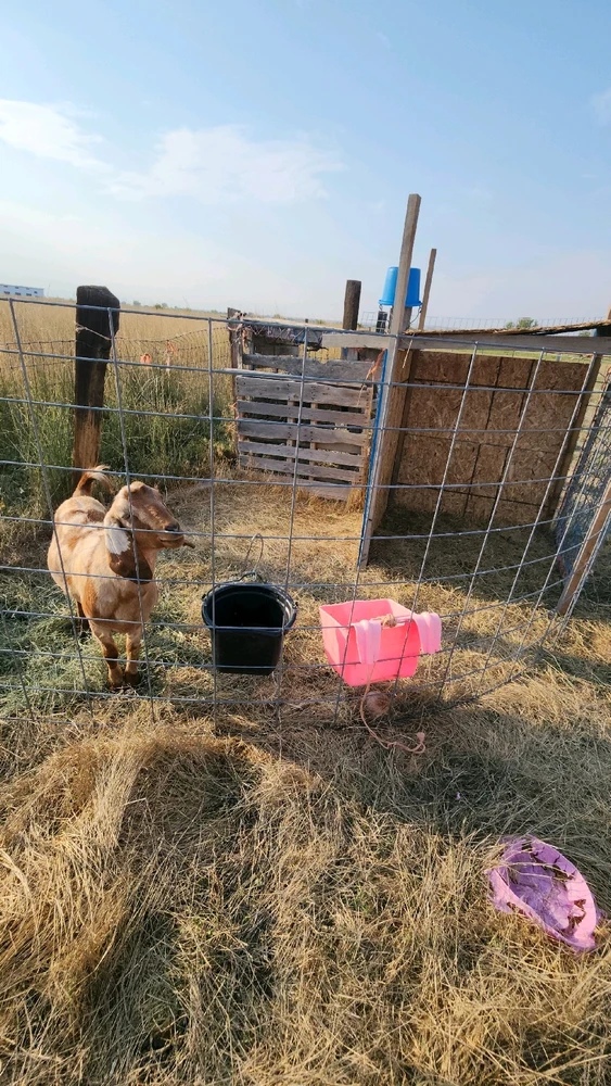 GIF diunggah dening Tasha