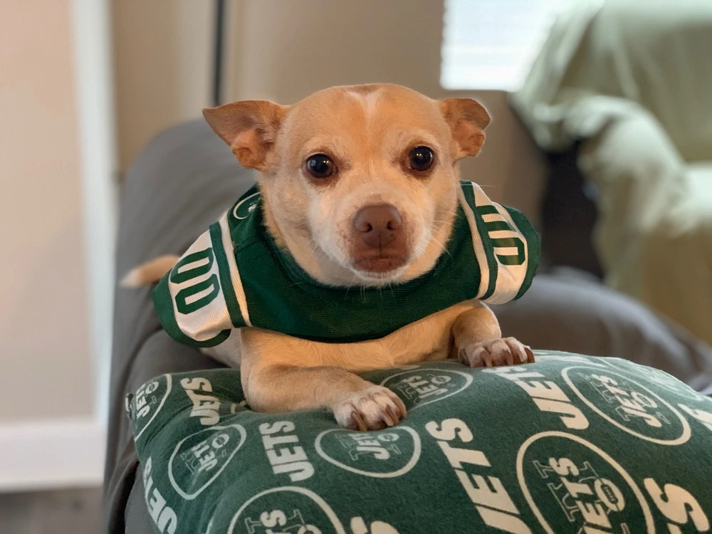 GIF uploaded by JohnnyBRJ