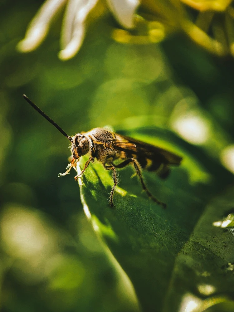 GIF enviado por Paulo Oliver