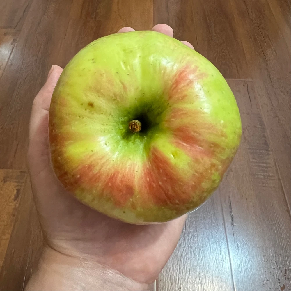 𝔇𝔦𝔞𝔫𝔞 پاران اپ لوڊ ٿيل GIF