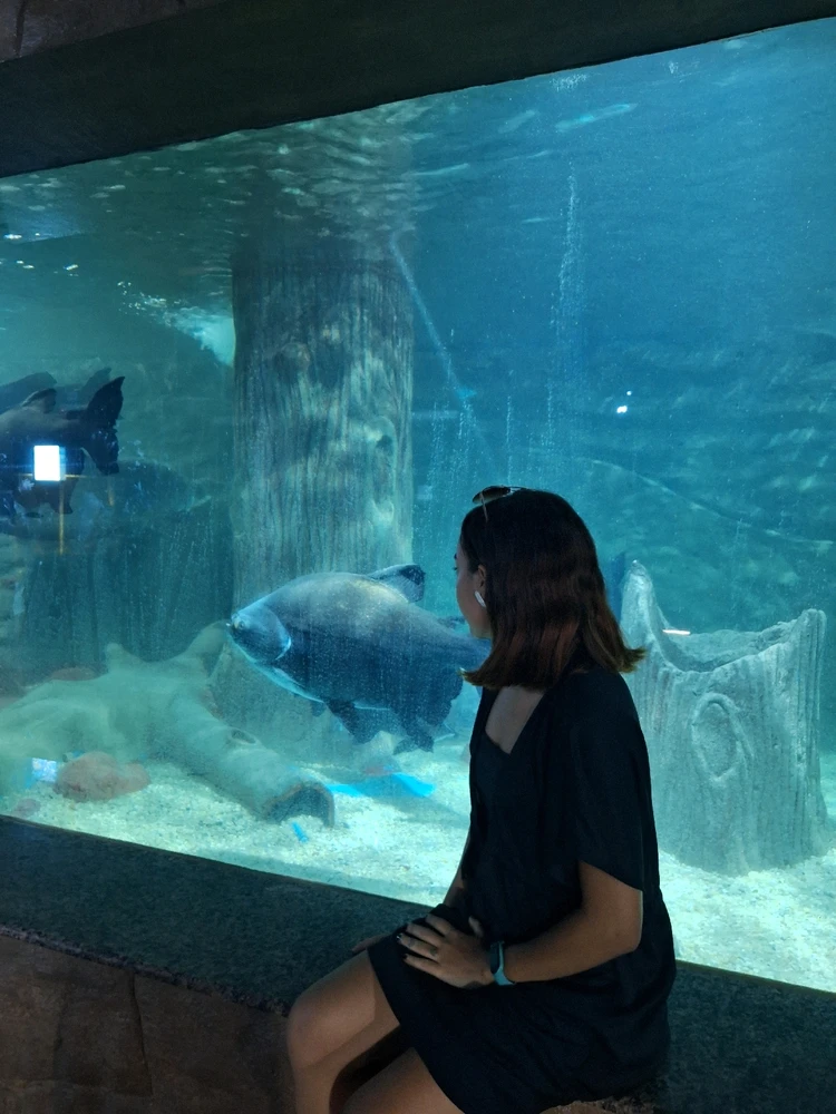 GIF enviado por Alanne