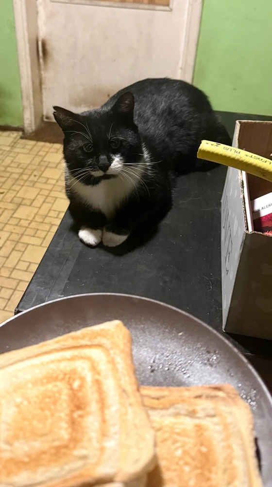 GIF dodany przez Spacj4