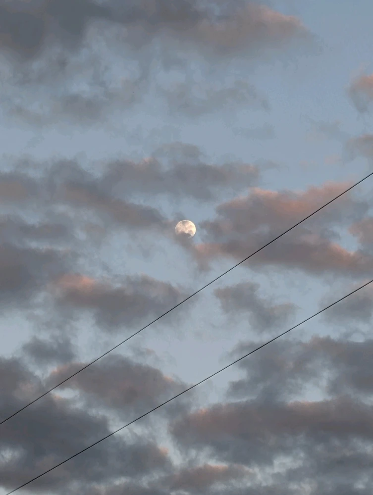 Image uploaded by Veronica