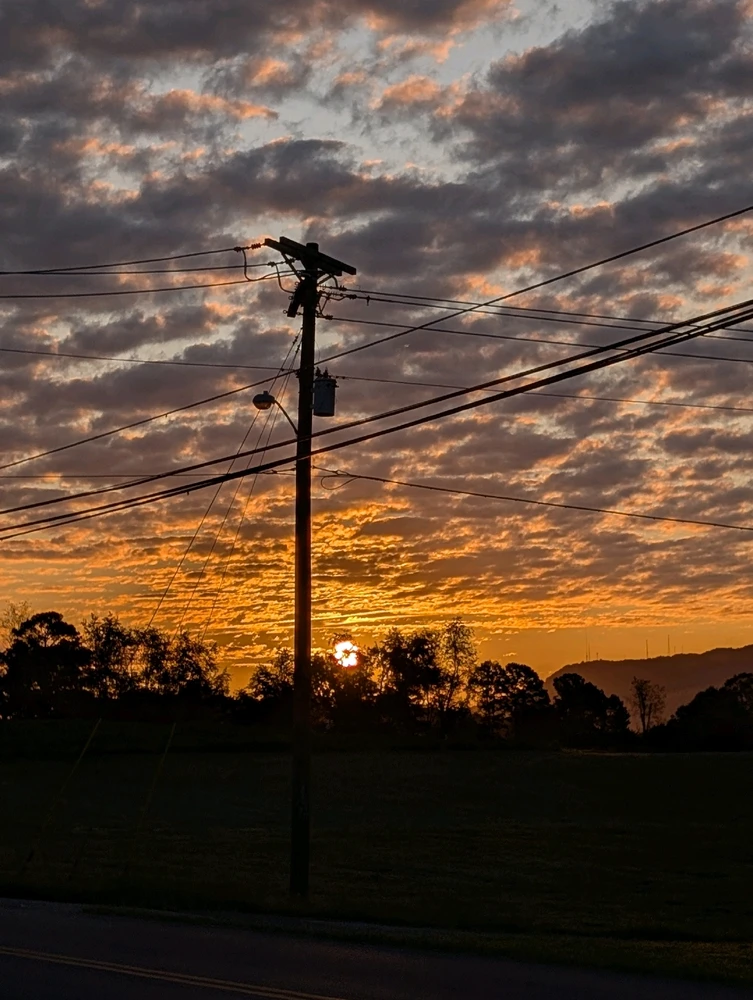 Image uploaded by Veronica