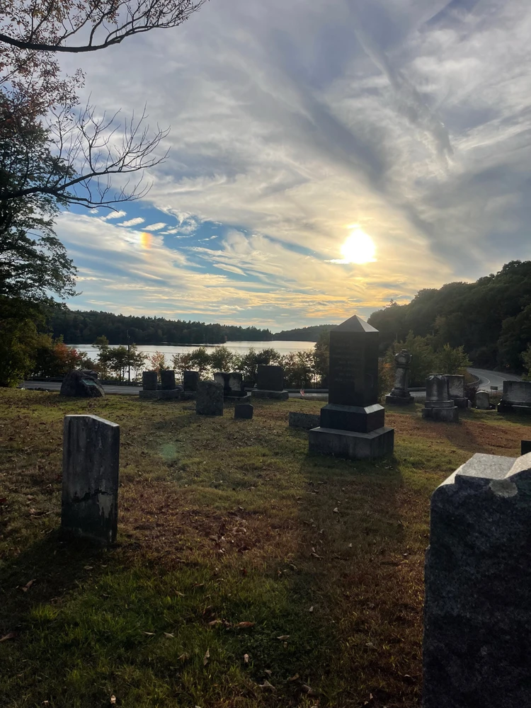 Image uploaded by Jules