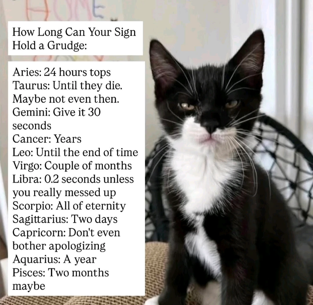 GIF uploaded by Melissa