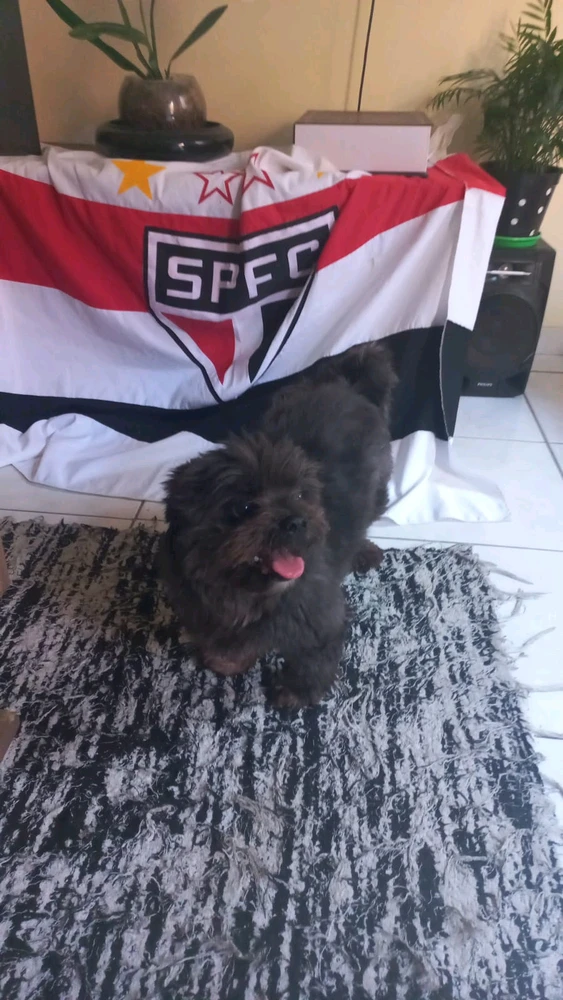 Imagem enviada por Herminio