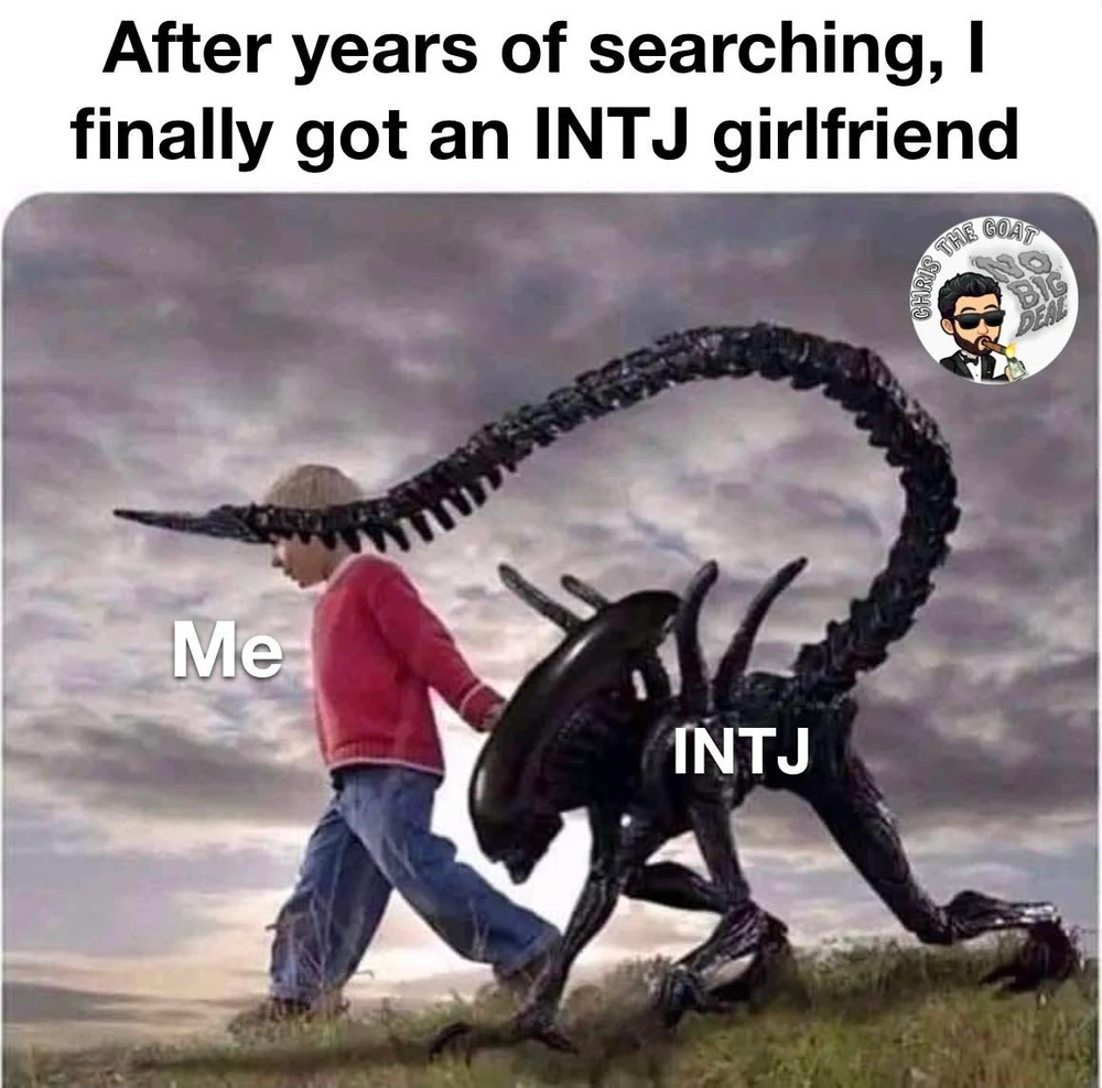 Cuando te ganas el corazon de intj xd
