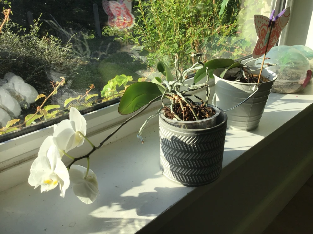 GIF ajouté par Jean