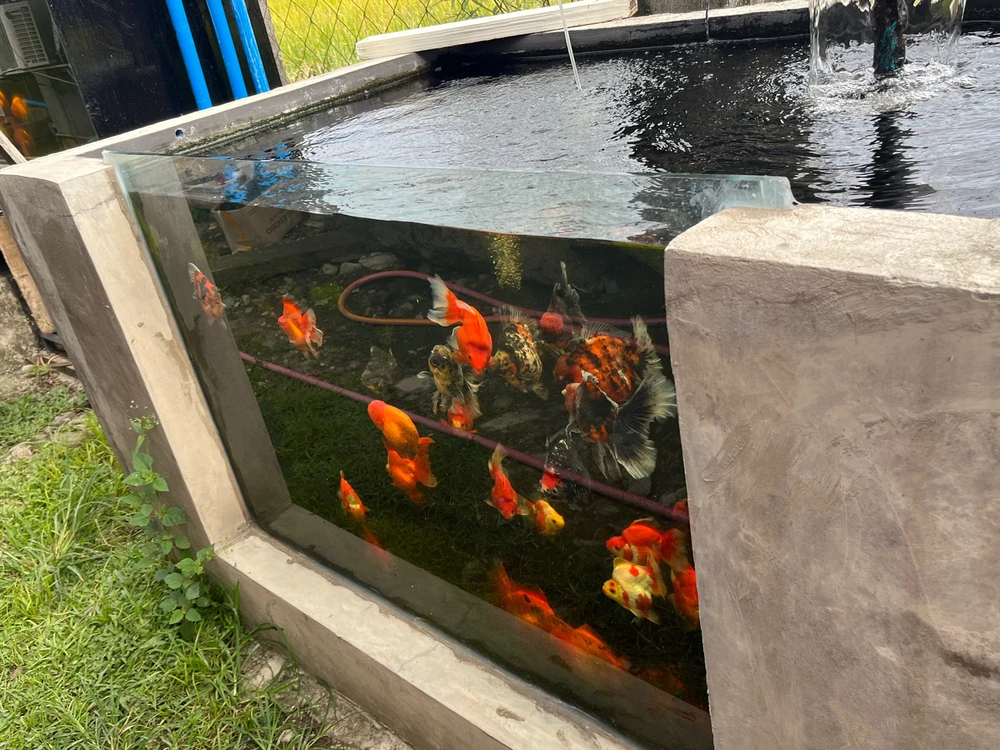 Image uploaded by Donna