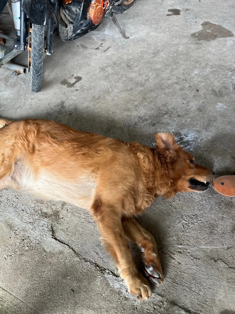 Image uploaded by Donna