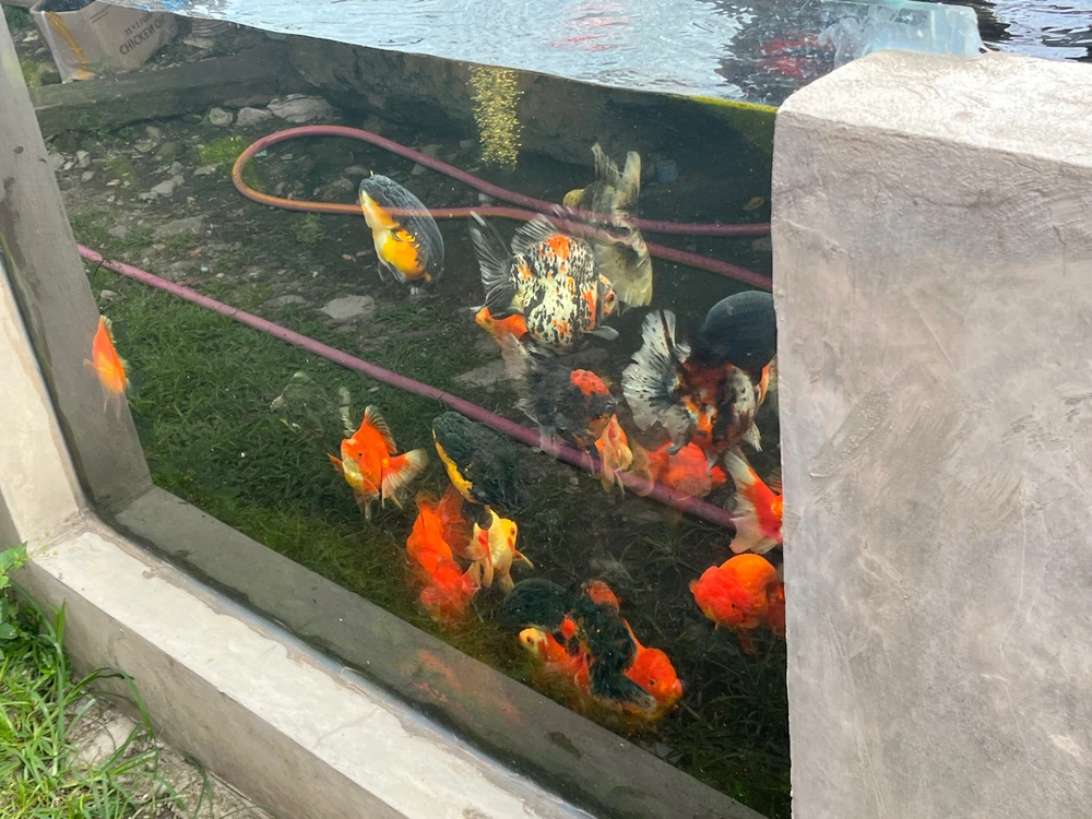 Image uploaded by Donna