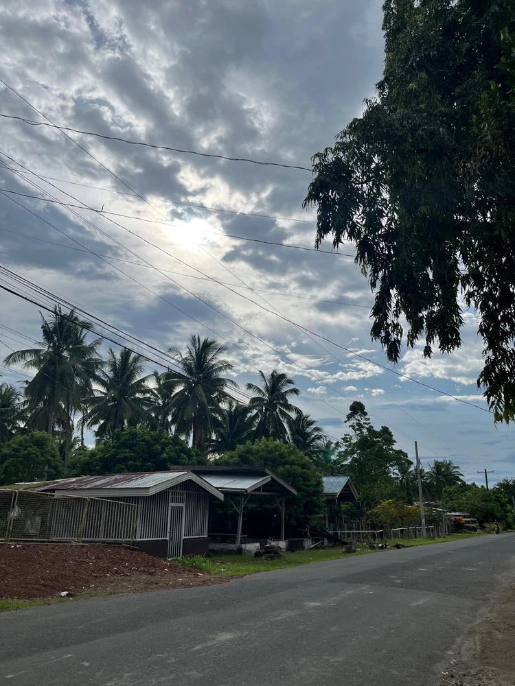 Image uploaded by Donna