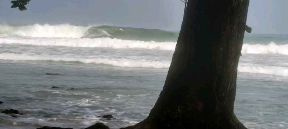 Image uploaded by Rico