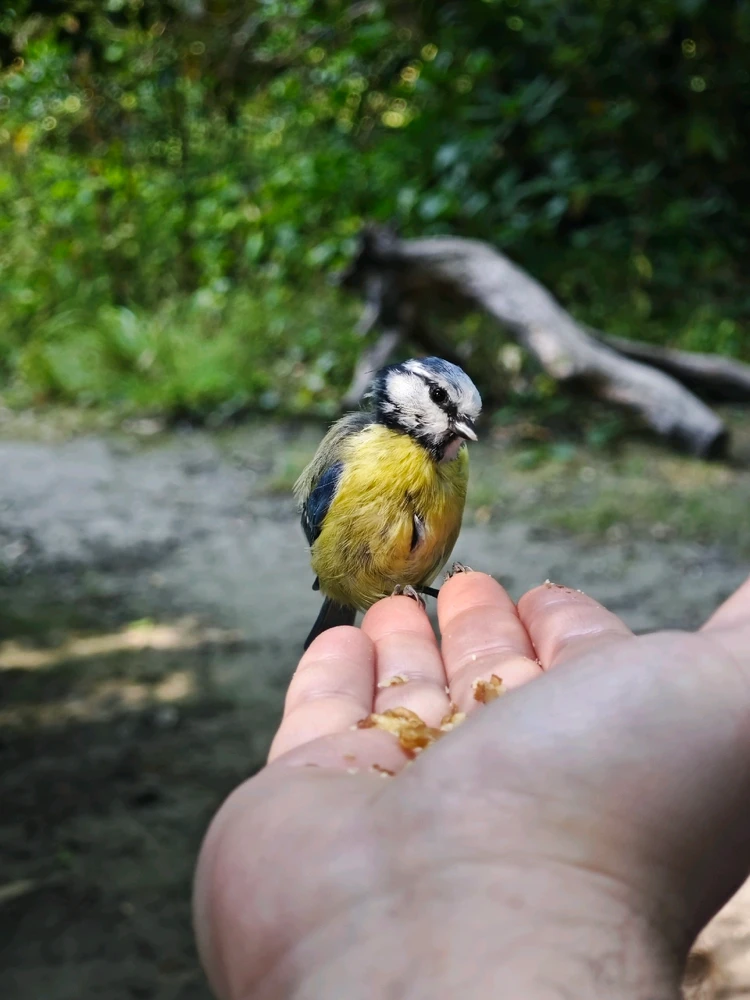 GIF hochgeladen von Marvin
