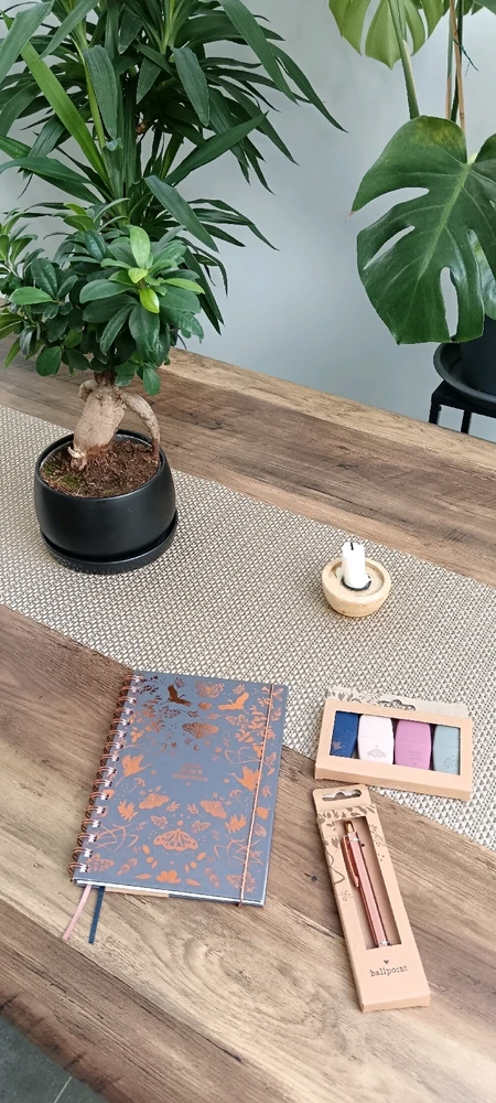 Image ajoutée par Saffiya