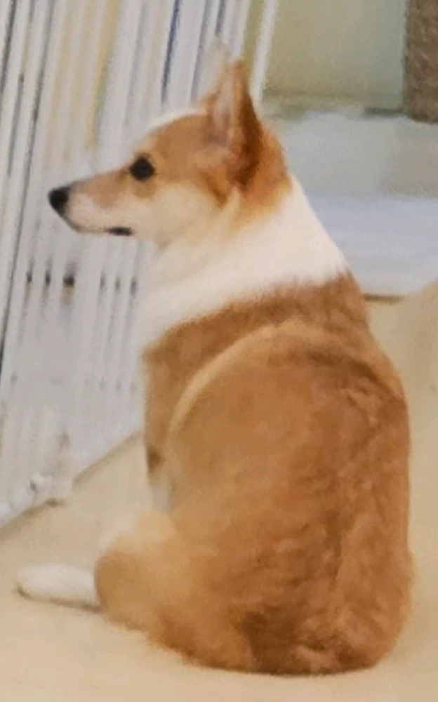 조율님이 올린 GIF