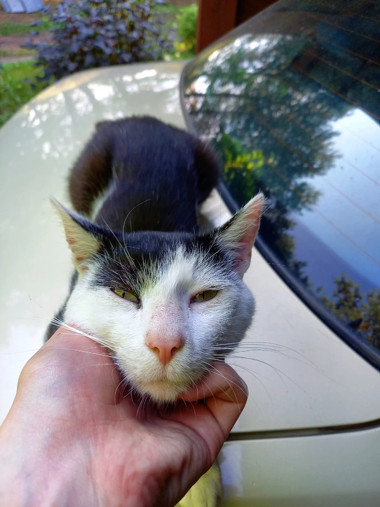 GIF dodany przez Bartek