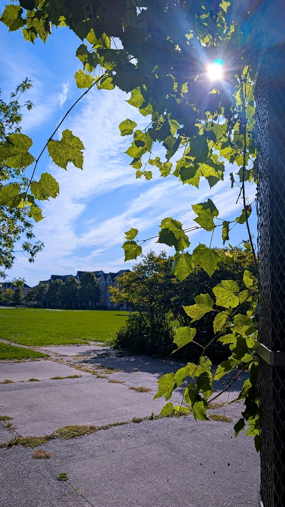 Image uploaded by Dana