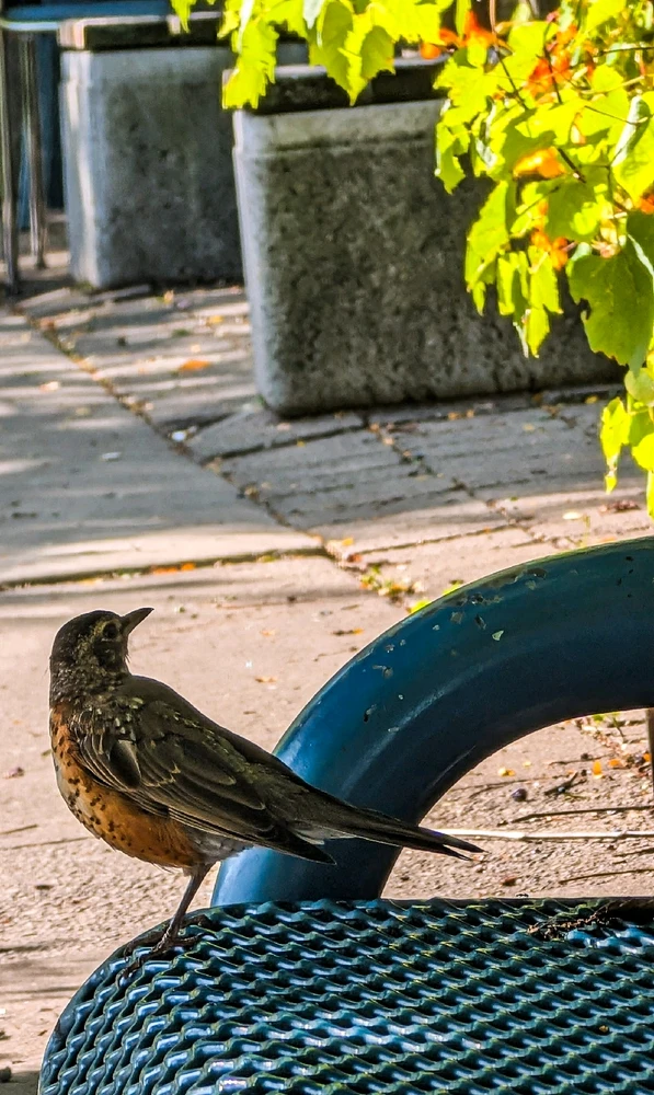 Image uploaded by Dana