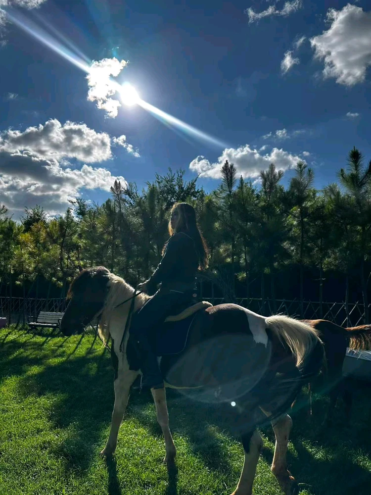 รูปที่อัพโหลดโดย Süyinshi