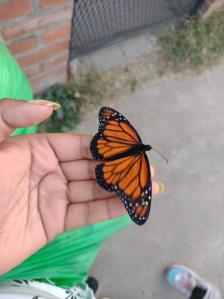 Imagen subida por Juli