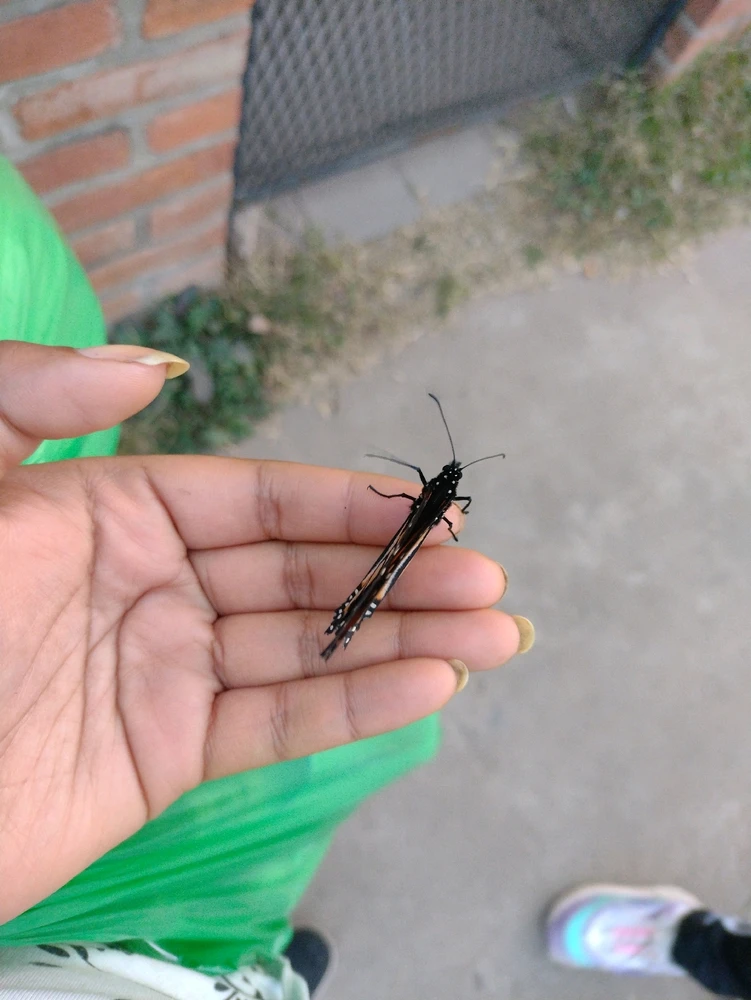 Imagen subida por Juli