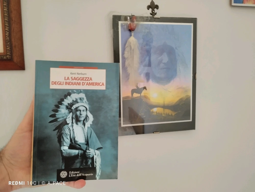 Immagine caricata da Alessandro | alpacigno