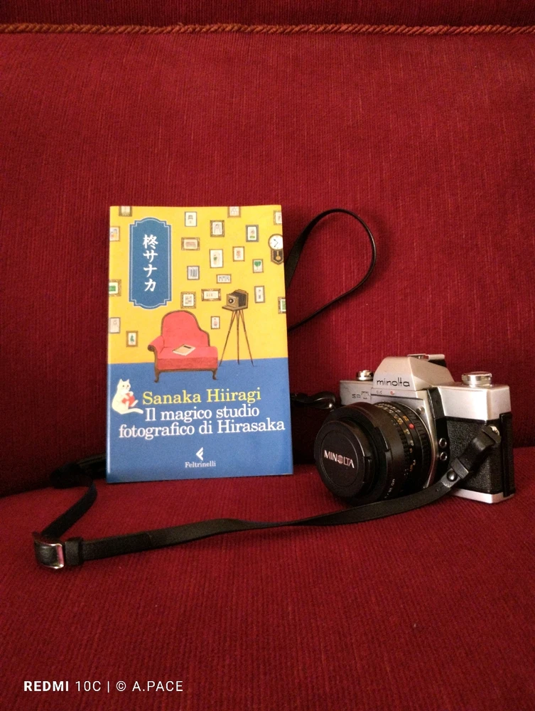 Immagine caricata da Alessandro | alpacigno