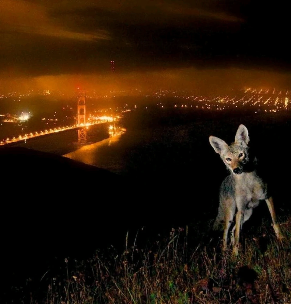 GIF ανέβηκε από George