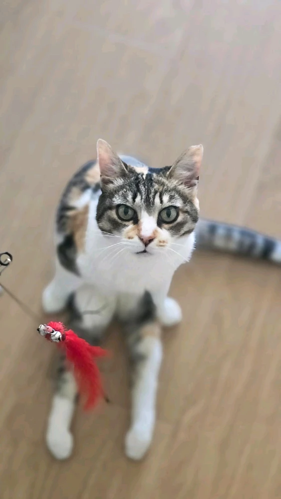 GIF uploaded by Sandro