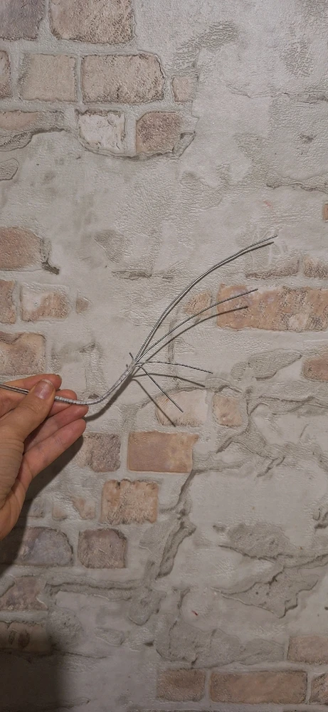 Зображення завантажив Юлія